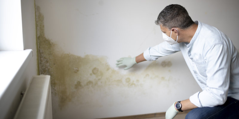 Mold Testing in Alachua County, Florida