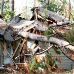 Wind Mitigation