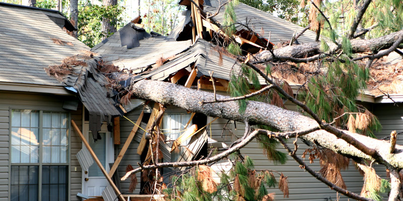 Wind Mitigation in Dunnellon, Florida